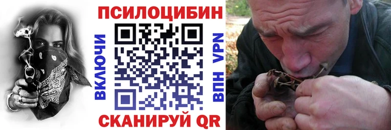 Псилоцибиновые грибы мицелий  Купить где  Кизилюрт 